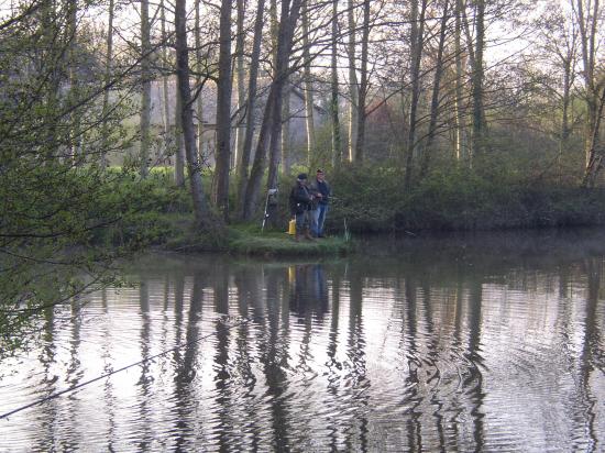 Pêche à la truite