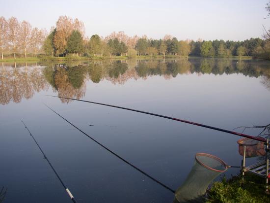 Pêche au coup