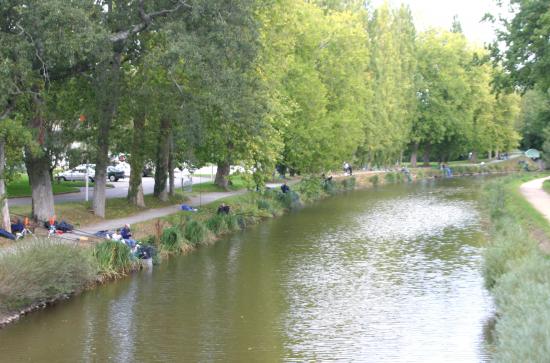 Alevinage Gardons et Brochets