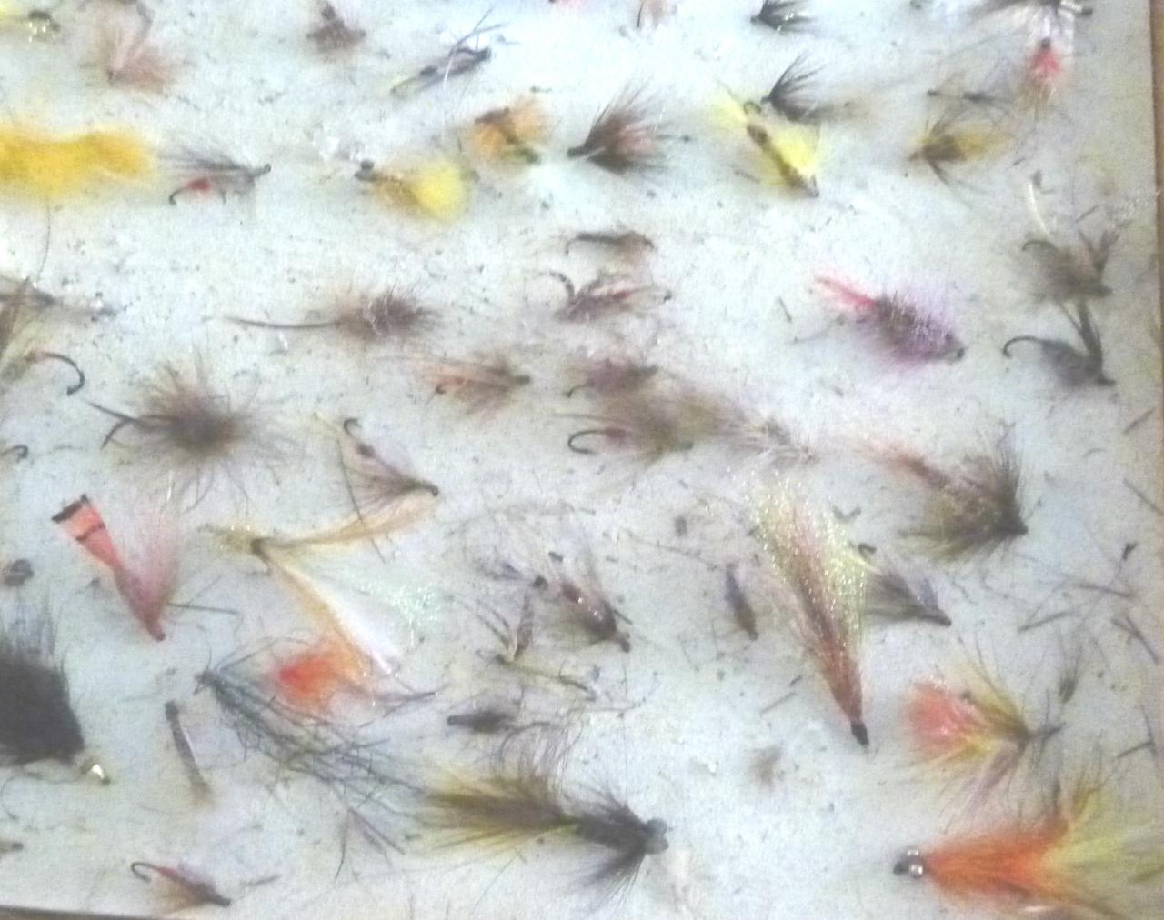 SORTIE ECOLE DE PECHE