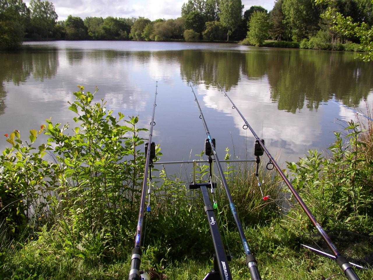 TREPIED POUR LANCER A CARPES