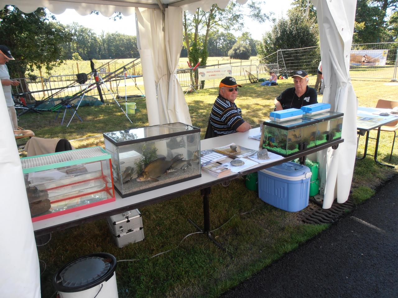 VITAL SPORT 2012