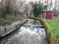 2015 Ouverture de la Pêche de la Truite