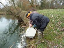 Etang de Chavagne