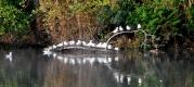 Plan d'eau de Betton